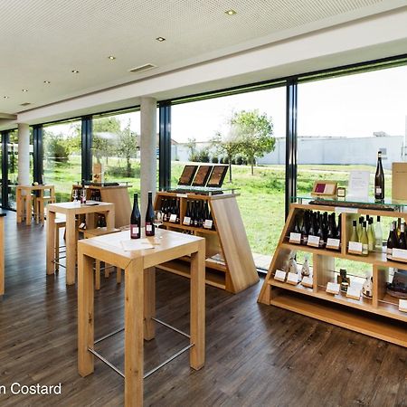 Meyerhof - Bioweingut, Vinothek & Gaestehaus Флонхайм Экстерьер фото